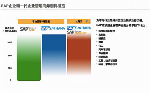 sap的云erp產(chǎn)品有哪些,怎么選擇適合企業(yè)的云erp系統(tǒng)