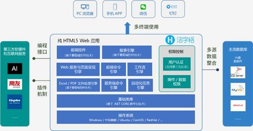 葡萄城 通過低代碼開發平臺搭建產業生態服務體系
